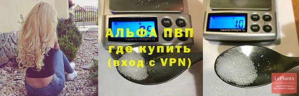 прущие грибы Верхнеуральск