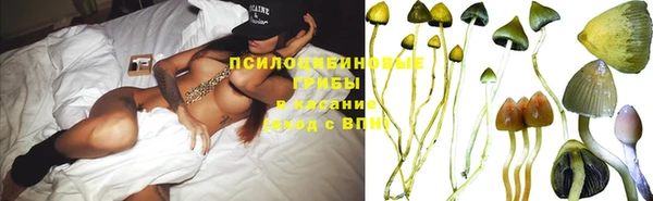 стафф Верхний Тагил