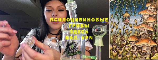 PSILOCYBIN Верея