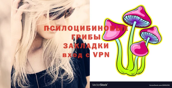 прущие грибы Верхнеуральск