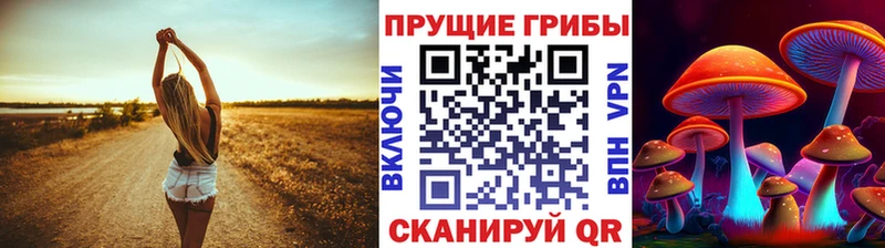 магазин продажи   Копейск  Псилоцибиновые грибы Psilocybe 