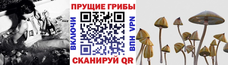 Галлюциногенные грибы MAGIC MUSHROOMS Копейск